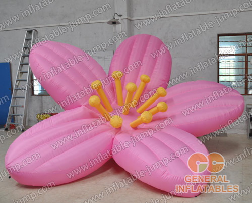 https://www.inflatable-jump.com/images/product/jump/gcar-50.jpg